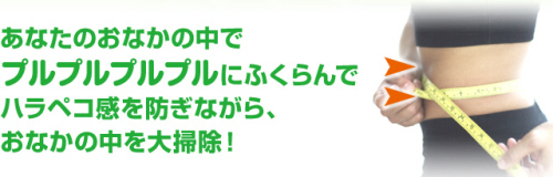 �n�[�u���X�F�o�W���V�[�h